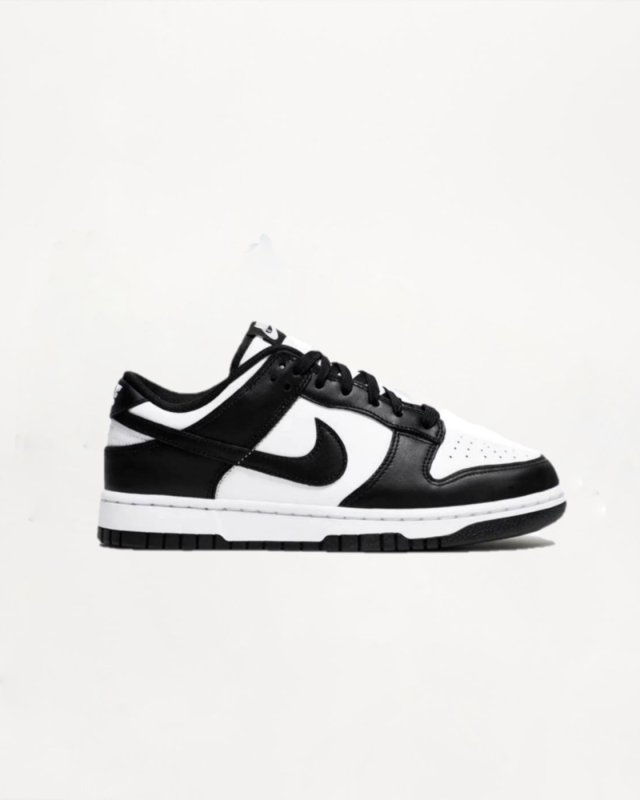 DD1503 101 NIKE DUNK LOW NIKE