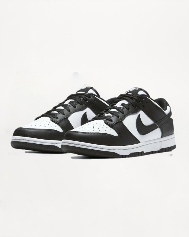 DD1503 101 NIKE DUNK LOW NIKE