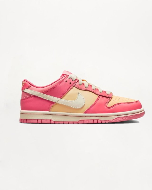 NIKE DUN LOW TONE GREY NIKE