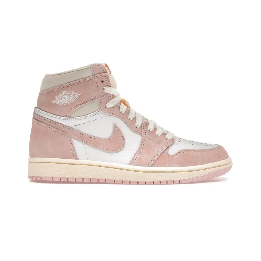 Nike Air Jordan 1 Retro Low