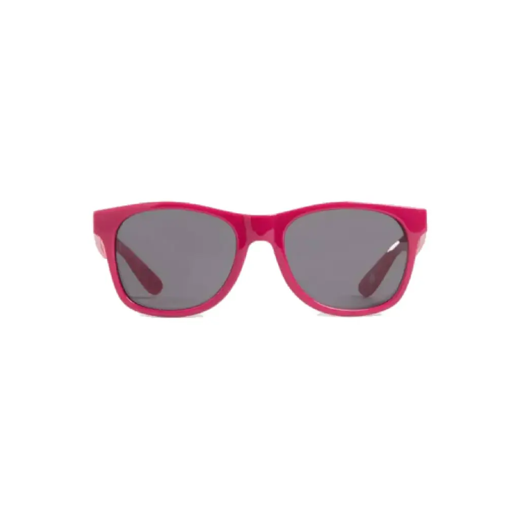 Vans Lentes Spicoli 4 Shades