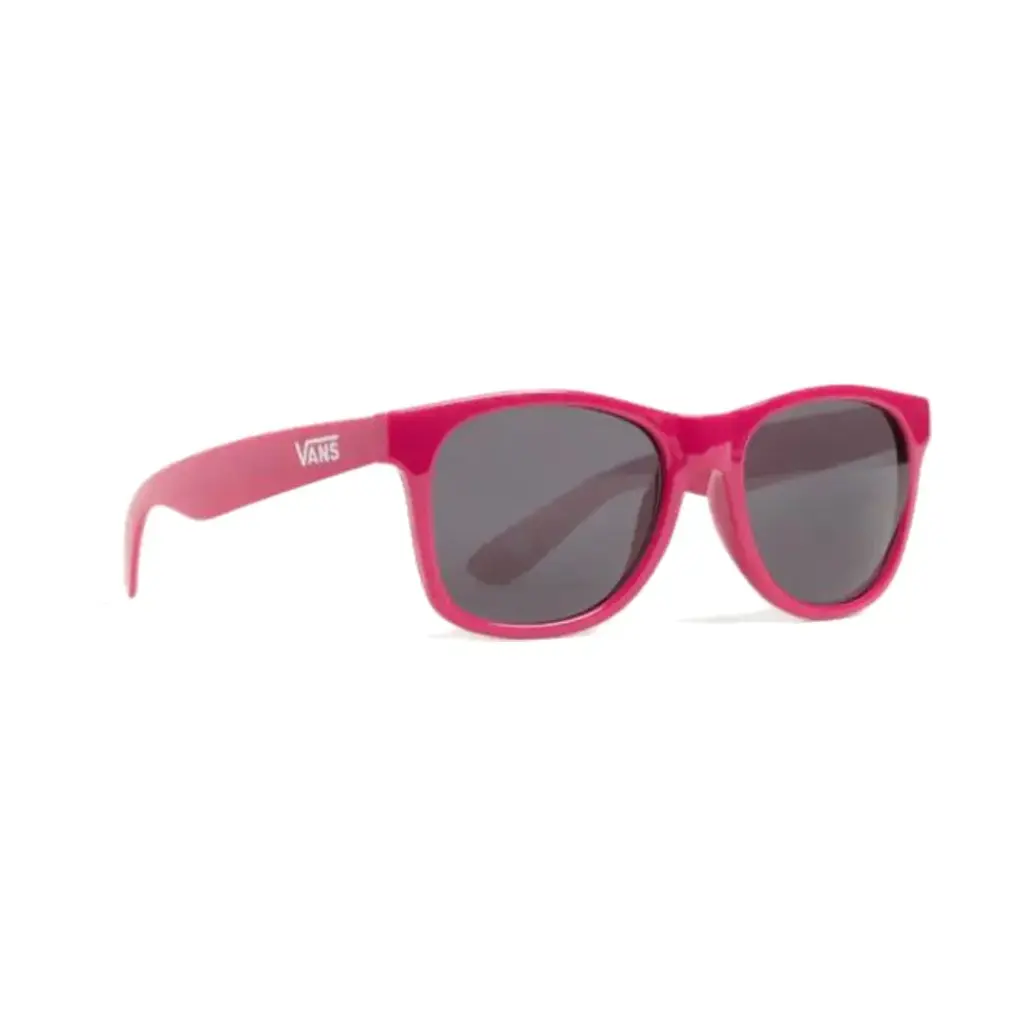 Vans Lentes Spicoli 4 Shades