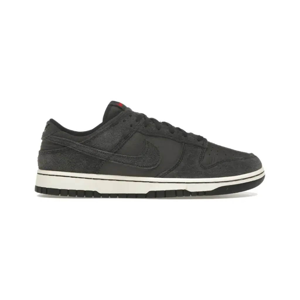 Nike Dunk Low Retro PRM