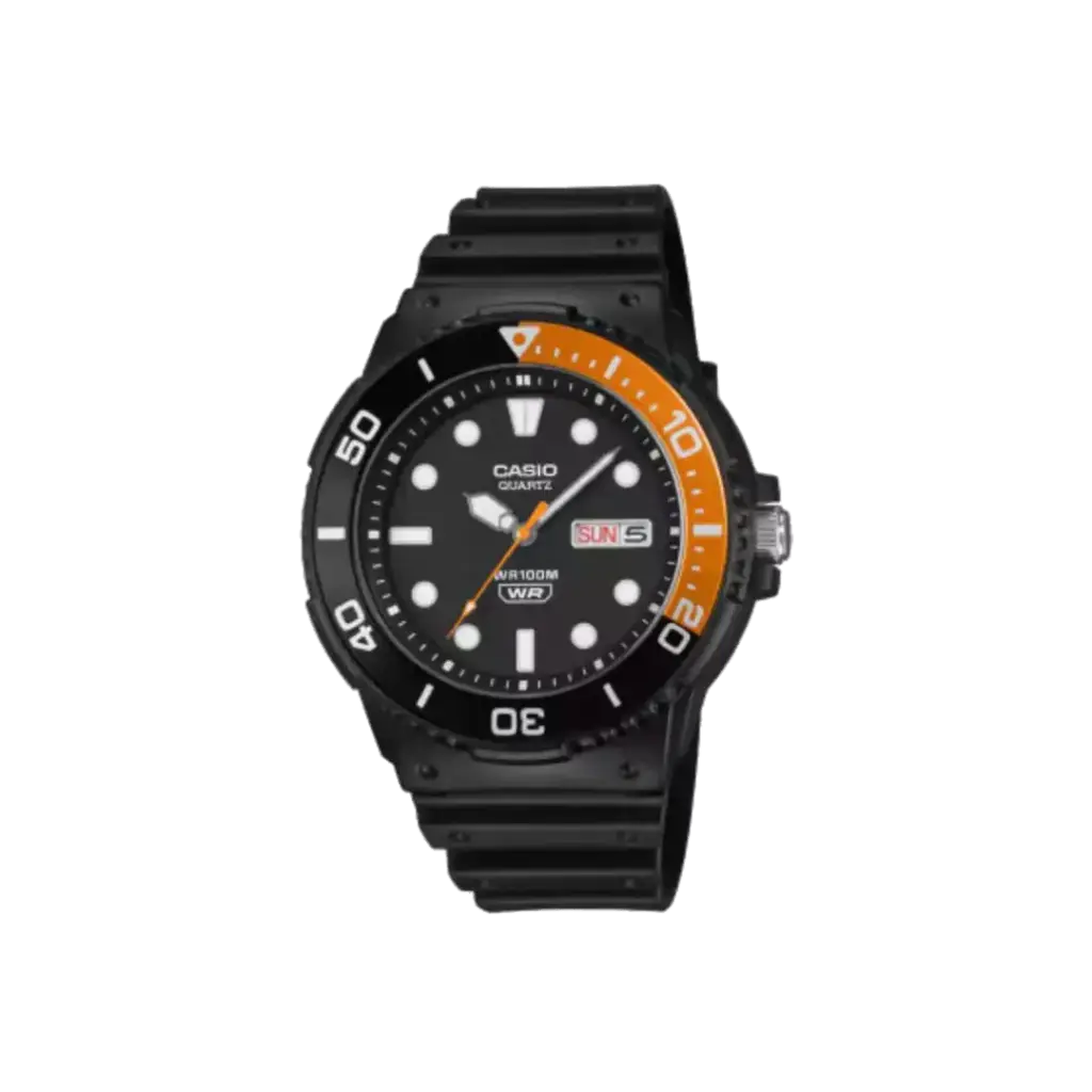 RELOJ CASIO