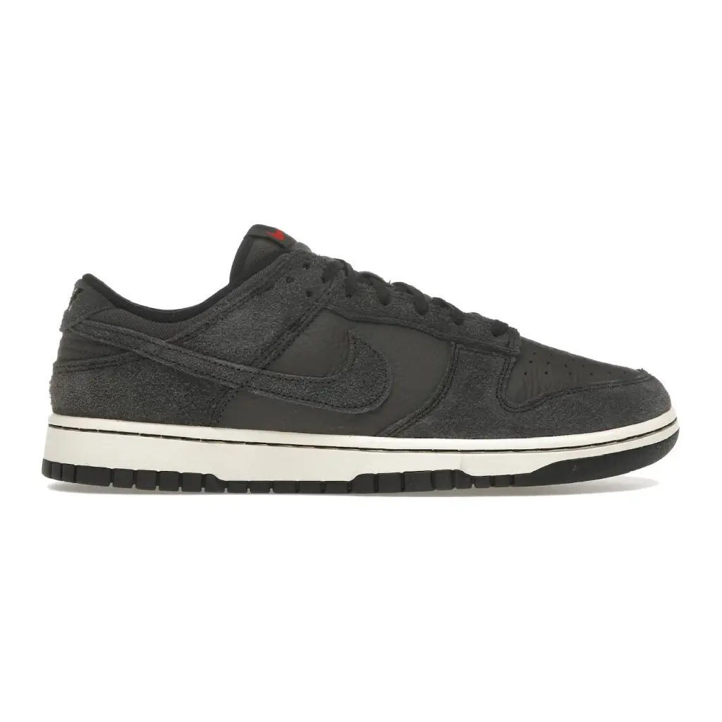 Nike Dunk Low Retro PRM