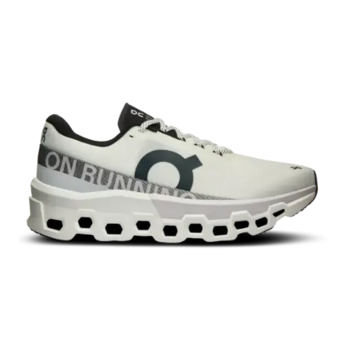 [3we10110664] On Running Cloudmonster 2