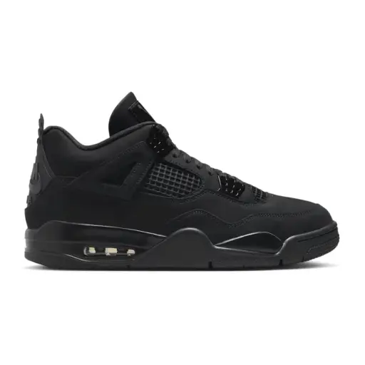 [FV5029 010] Jordan 4 Black Cat 