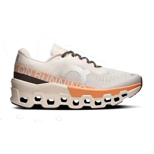 [3WE10113202] On Running Cloudmonster 2