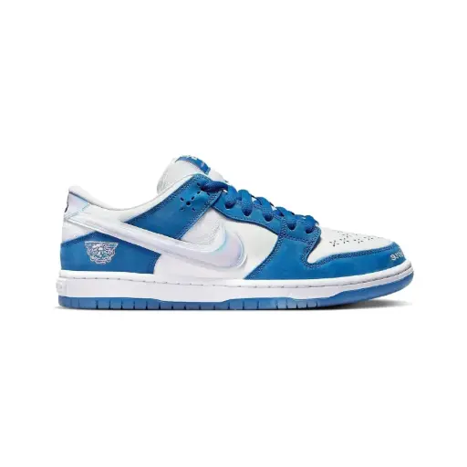 [FN7819 400] Nike SB Dunk Low PRO QS